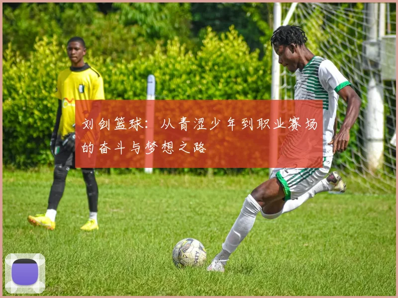 刘剑篮球：从青涩少年到职业赛场的奋斗与梦想之路