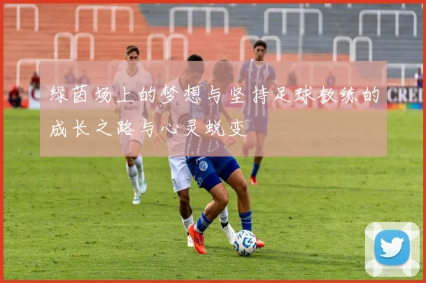 绿茵场上的梦想与坚持足球教练的成长之路与心灵蜕变