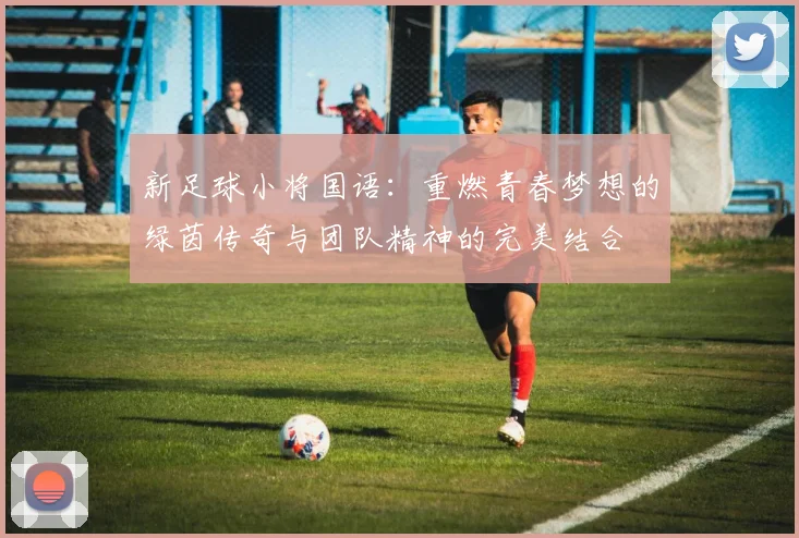 新足球小将国语：重燃青春梦想的绿茵传奇与团队精神的完美结合