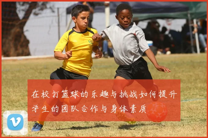 在校打篮球的乐趣与挑战如何提升学生的团队合作与身体素质