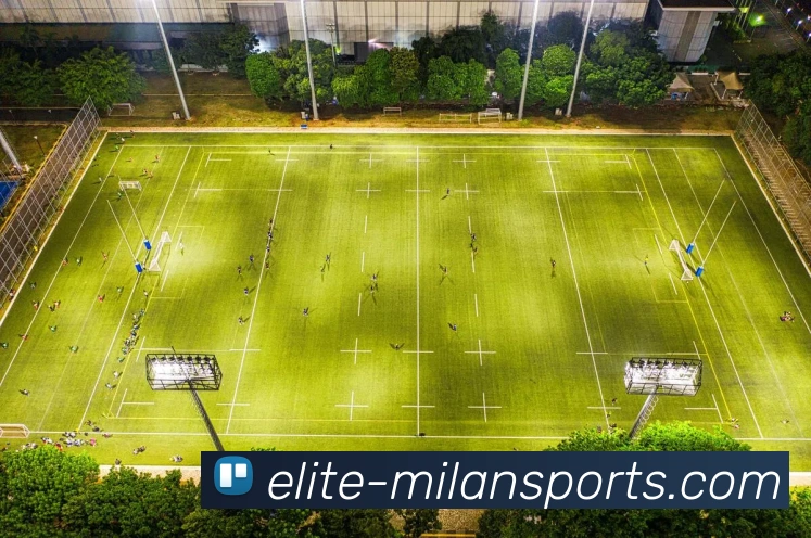 奖项证书